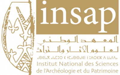 insap logo transparent